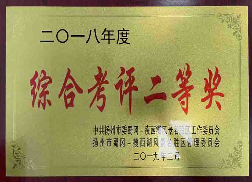 綜合考評(píng)二等獎(jiǎng)